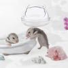 Multipurpose Pet  Transparent  Bathroom Cartoon Shape Detachable Anti-splash Observation Bathtub Toilet For Hamster Small Animals