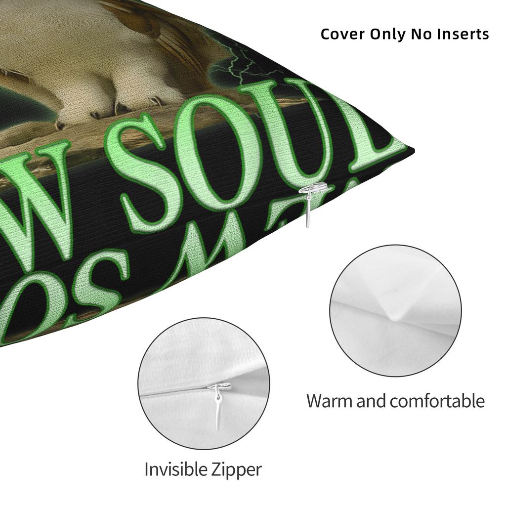 Cat Owl Funny Pillow Case Graphic Pillow Cover Retro Trendy Cushion Cover For Office Car Home Decor