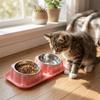 Oblique Mouth Stainless Steel Pet Bowl Anti-Overturning Double Pet Bowl  Puppy Feeding