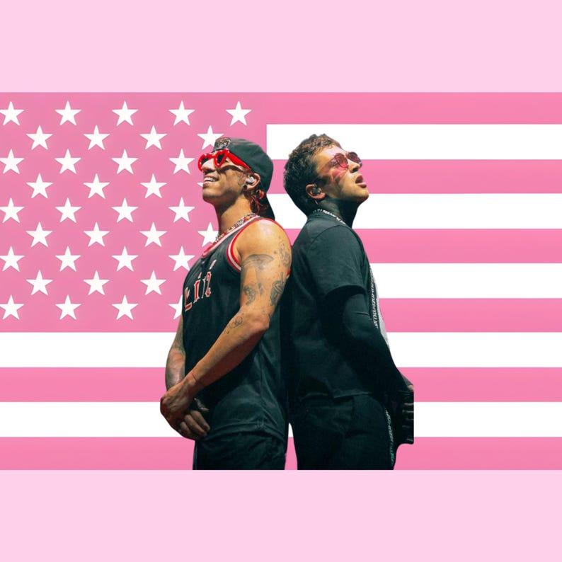 Pink American flag tapestry 75x100