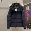 Unisex Zimní Parka Kabát s Kapucí Silná Bavlněná Puffer Bunda Pánská Dámská Ležérní Teplá Větruodolná Vrchní Oblečení