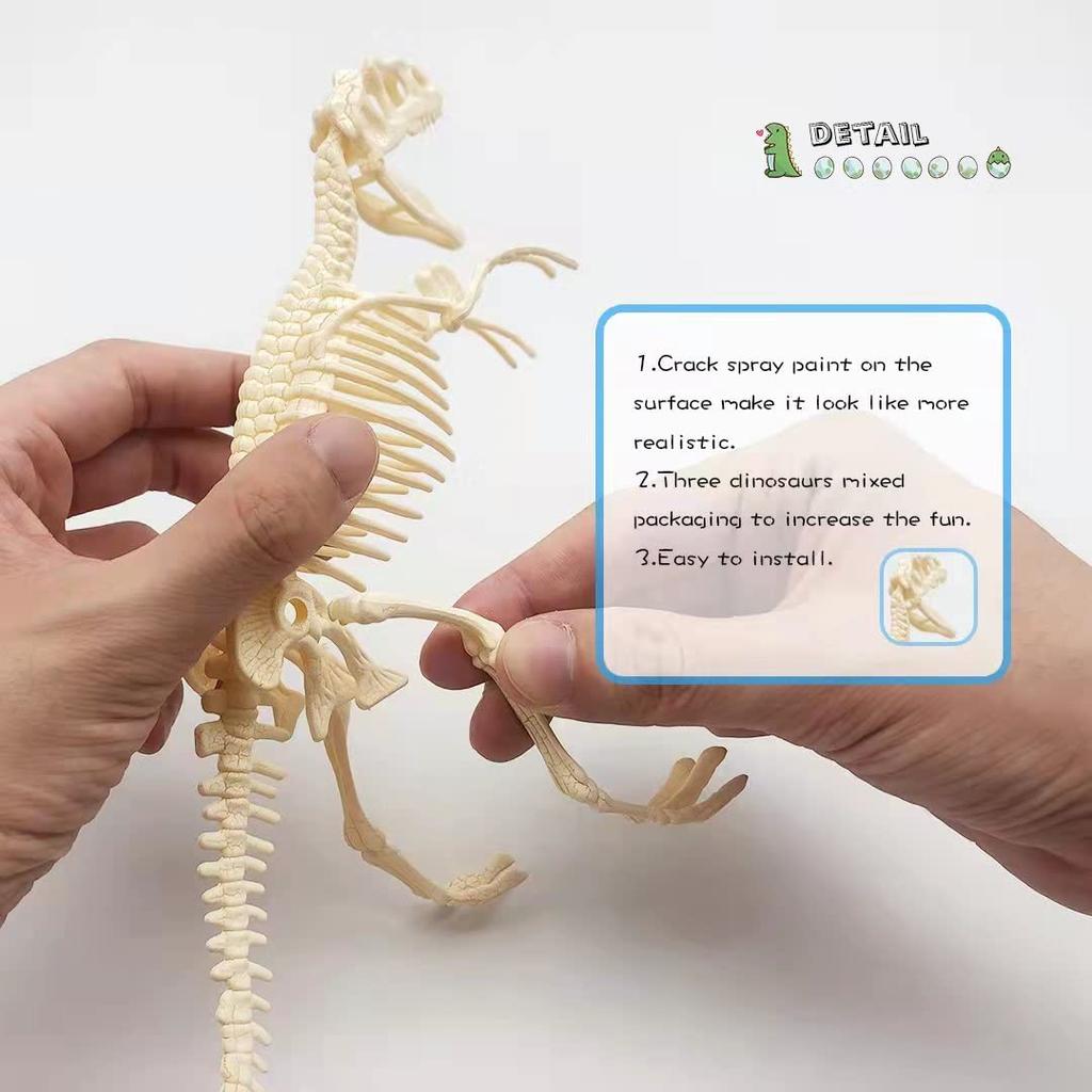 3-Delig Dinosaurusskelet Fossiel DIY Speelgoed voor Kinderen, Ouder-Kind Montagepuzzel 3D Model Set voor Leeftijden 6 en Hoger
