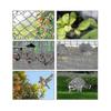 Plasă Anti-Păsări 15m X 15m Stabilizată UV Plasă HDPE cu Ochiuri de 5cm X 5cm M