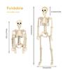 Realistic Full Body Hanging Skeleton with Movable Joints Halloween Haunted House Props Terrifying Skull Decoration