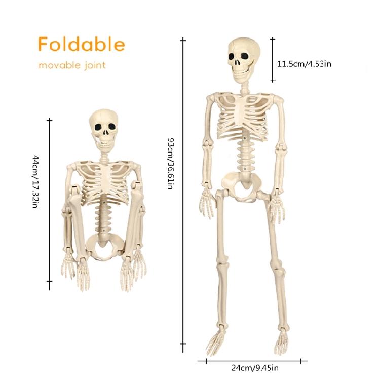 Ρεαλιστικός Σκελετός Κρεμαστός Ολόκληρου Σώματος με Κινητούς Αρθρώσεις, Αξεσουάρ για Στοιχειωμένο Σπίτι Αποκριών, Τρομακτική Διακόσμηση Κρανίου
