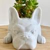 Resin Dogs Succulent Planter French dogs Shape Flower Pots Cute Bonsai Flower Pots Succulent Mini Puppy Planter For Home Garden Decor