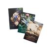 12x8.3cm Spirit of The Animal Oracle Deck 51 Different Animal Helpers and Discover Their Powerful Medicine with Guidebook for Beginners