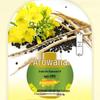 Jinyu Home Essentials Bundle