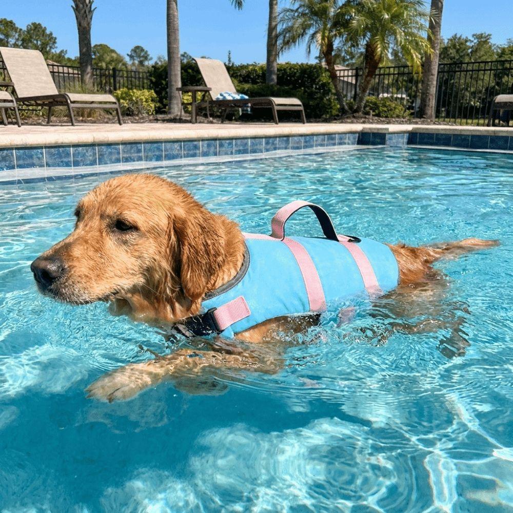 Verstellbare Hunde-Schwimmweste Hoher Auftrieb Hunde-Schwimmkleidung Hundebadeanzug Hunde-Sicherheitswesten Strand