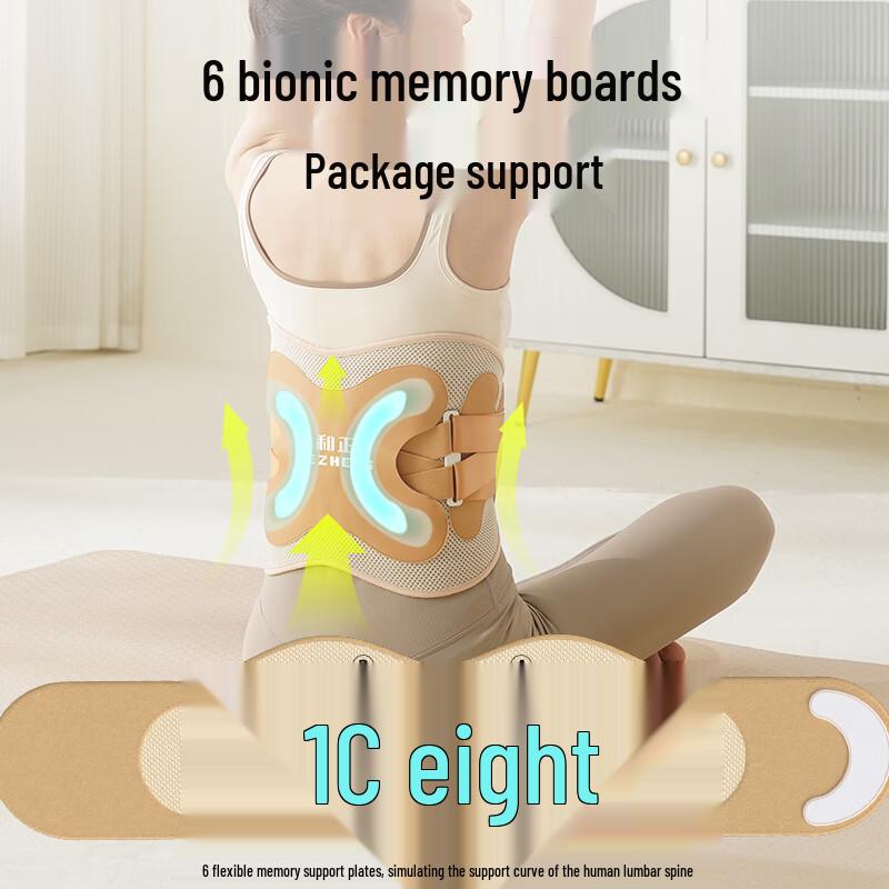 Lightweight Breathable Lumbar Support Waist Brace