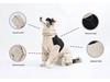 Waterproof Windproof Mountaineering Suit for Medium & Large Dogs - Border Collie, Labrador, Shiba Inu