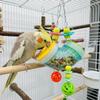 Interactive Parrot Foraging Toys Chewing Balls Cage Decoration Toy  For Lovebird Cockatiel