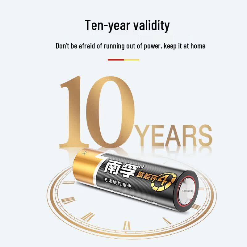 Nanfu AA Alkaline Batteries CN plug (adapter included)