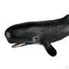 Action Figures Hand-Painted Creature Shark Sea Life Marine Toys Decorative Gifts for Kids
