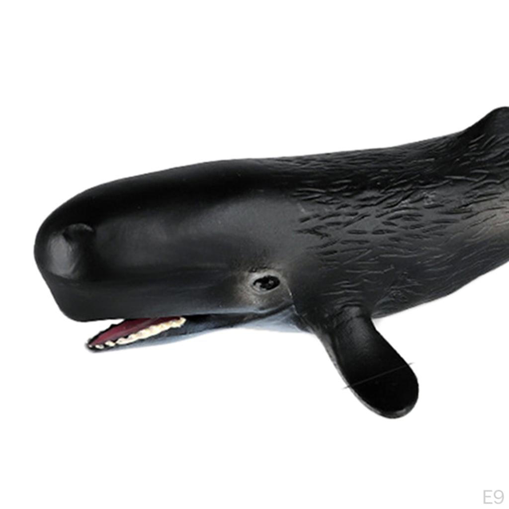 Action Figures Hand-Painted Creature Shark Sea Life Marine Toys Decorative Gifts for Kids