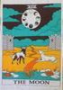 Indian Consigners Tarot Cards Tapestry Black & White The Sun Small Cotton Posters Medieval Europe (100 CM x 75 CM) (The Sun B/W)