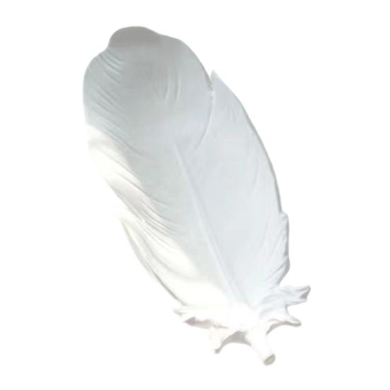 White Feather Jewelry Tray, Plaster Feather Trinket Dish, Decorative Wing Jewelry Dish for Earrings Necklaces Bracelets Dressing Table Decor