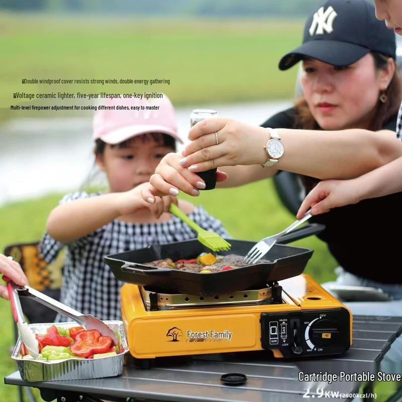 ZISIZ Outdoor Portable Gas Stove