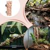 Reptile Cave Magnetic Hiding Place Amphibian Habitat For Spider Climbing Terrarium Frog Gecko Amphibian Enclosure Decoration