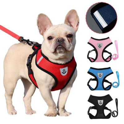 Köpek – Köpek Tasmaları ve Tasma Kayışları