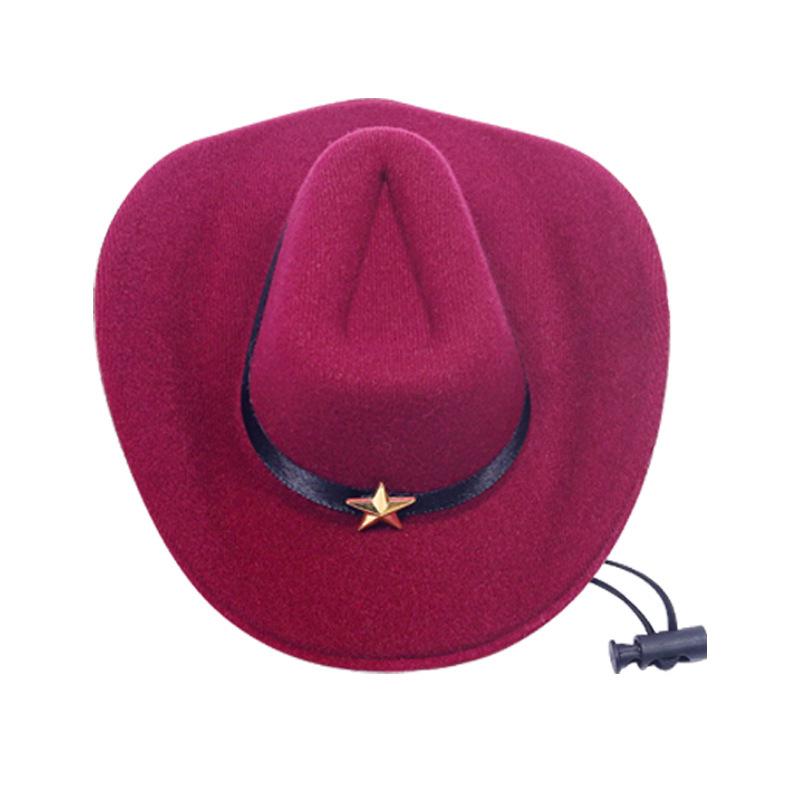 Western Cowboy Straw Hat for Small Pets - Cat & Dog Costume Photo Prop