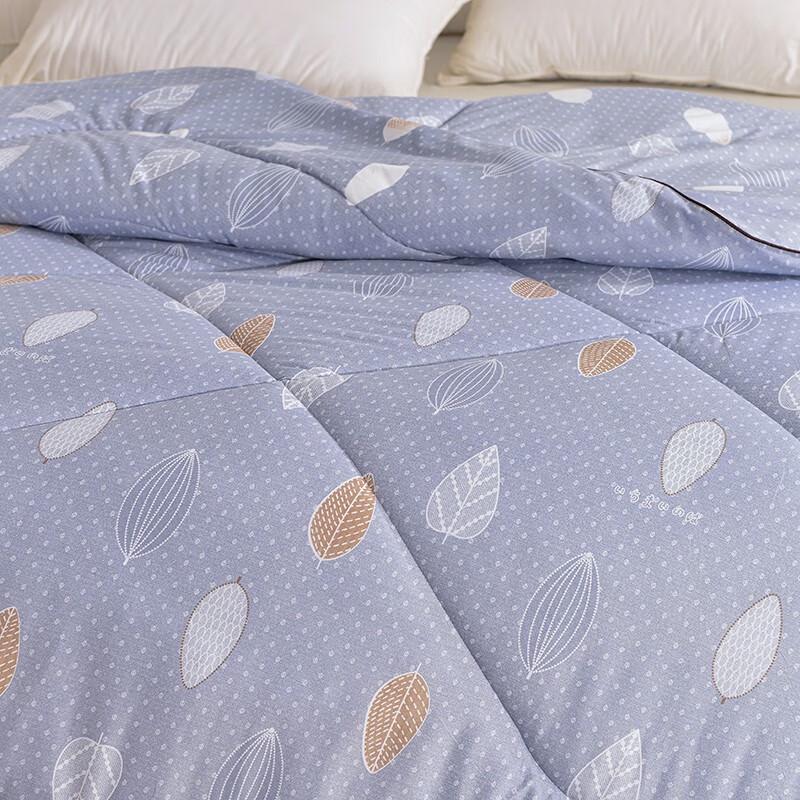 Jieliya Brushed Feather Silk Quilt