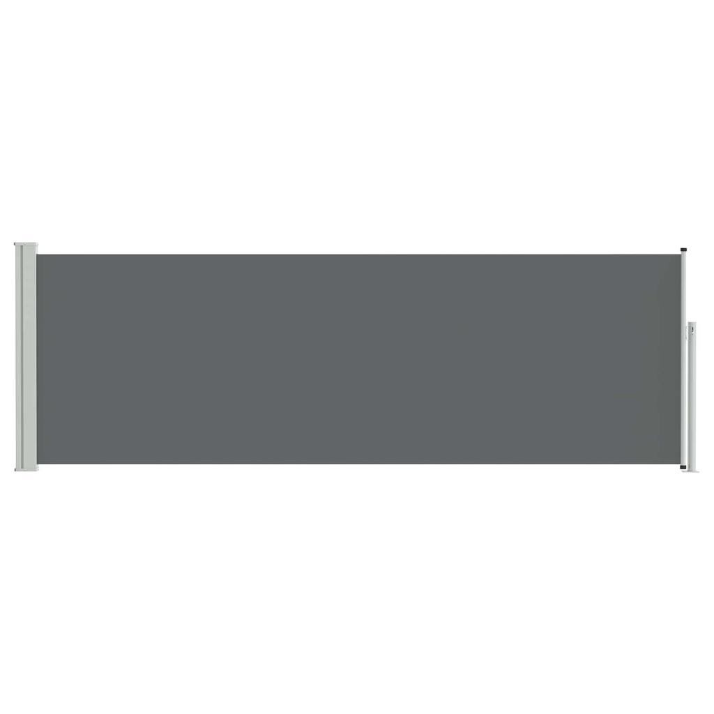 Retractable Side Awning Anthracite 300 x 100 cm Polyester