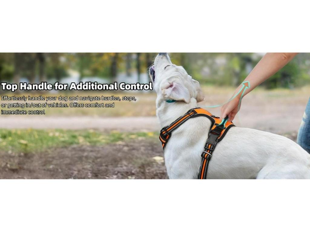Dog Nylon Chest Harness and Leash for Large Pets