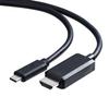 SANWA SUPPLY Kabel pro konverzi na HDMI samec na HDMI Type-C (USB Type-C samec), 3m, Černá, KC-ALCHD30