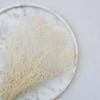 Stabilized Baby's Breath Mini - (Gypsophila) - Bleached