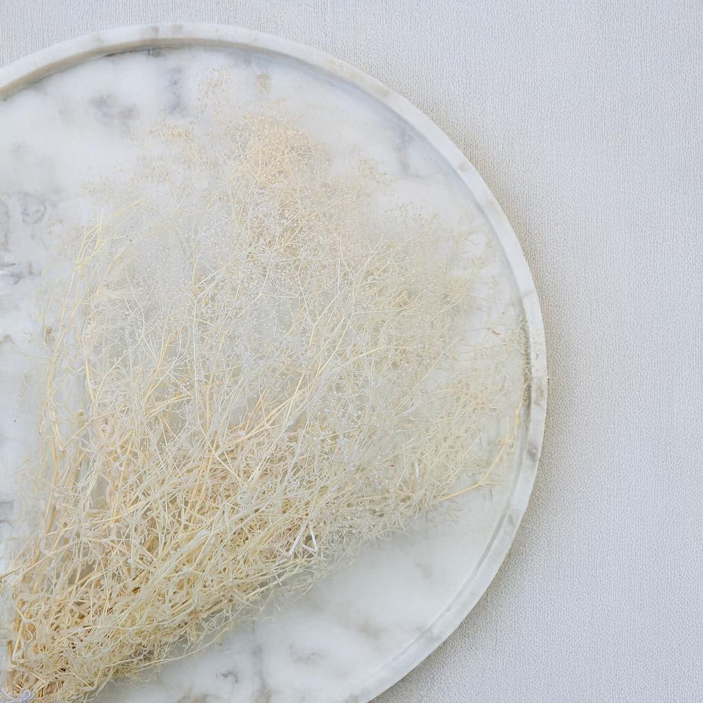 Stabilized Baby's Breath Mini - (Gypsophila) - Bleached