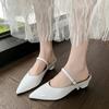 New Temperament One-word Buckle with Thick Heel Mary Jane Shoes Women's Pointed Single Shoes Light Mouth Commuter High Heel
