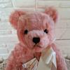 [USED] Herman Teddy Bear Rose