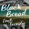Black Bread by Emili Teixidor Paperback Book 9781771960908