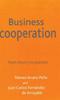 The Business Cooperation : From Theory To Practice Book