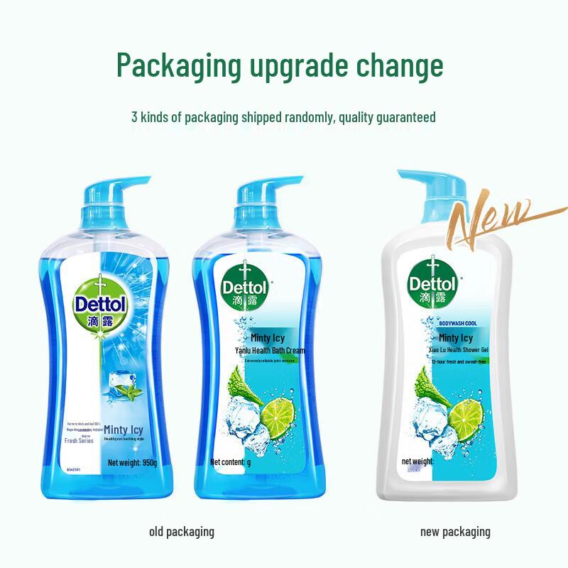 Dettol Mint Ice Cool Shower Gel