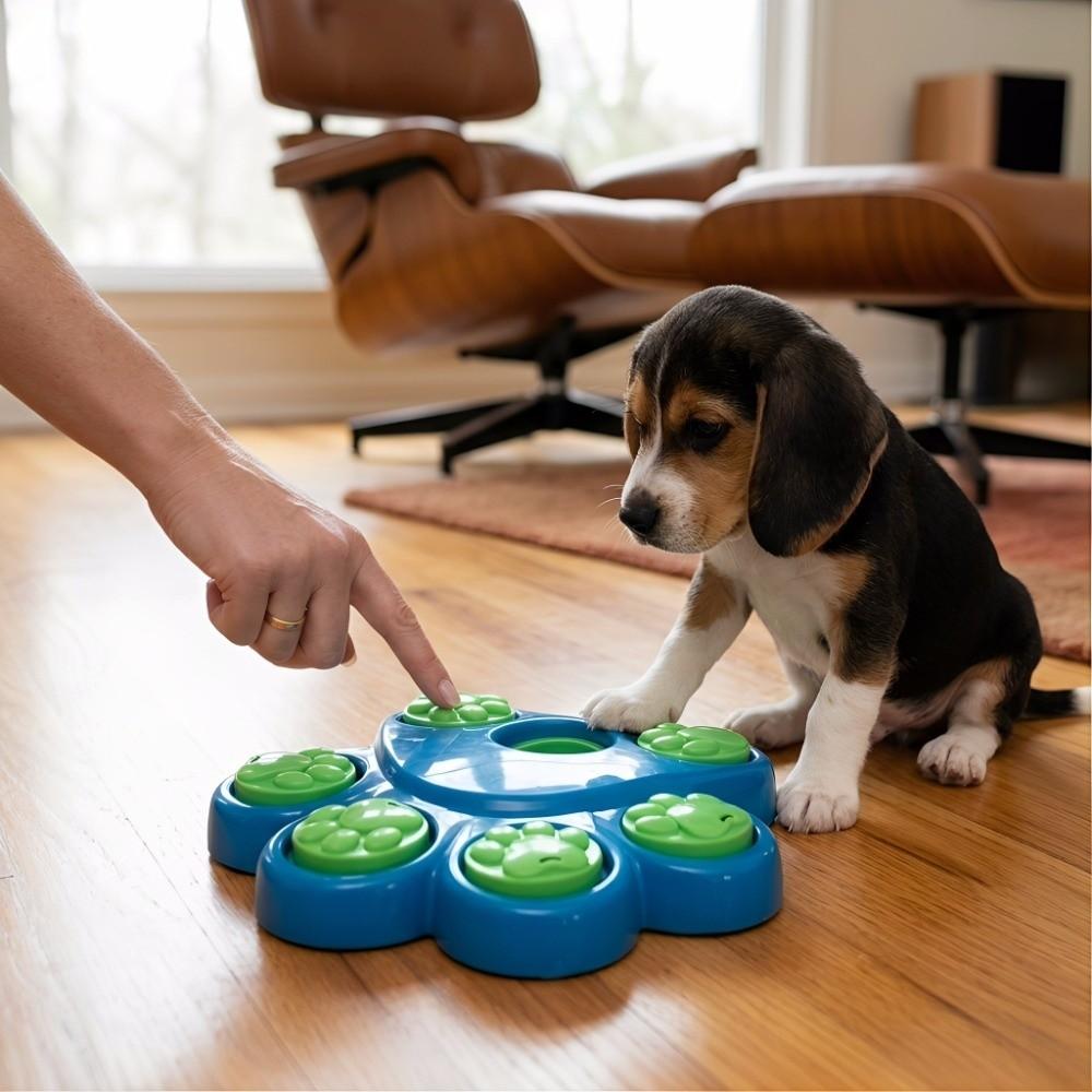 Non-Toxic Interactive Puzzle Feeder Bite-Resistant Colorful Dog Slow Feeder Interactive Feeding Supplies Dog Food Hiding Bowl
