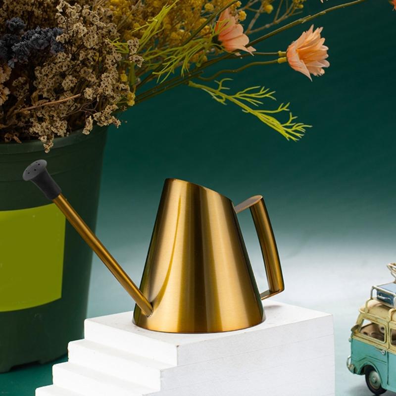 Watering Can Indoor Plant Indoor Watering Can for Plant 30.4oz/900ml Stainless Steel Watering Can Long Spout for Outdoor