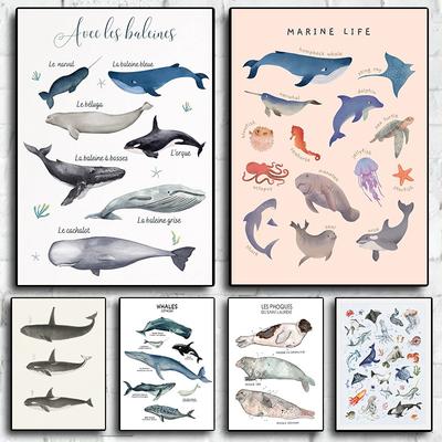 Cartoon Marine Animals Whales and Sharks Guide Poster and Prints Canvas Painting Wall Art Pictures Home Room Decoration