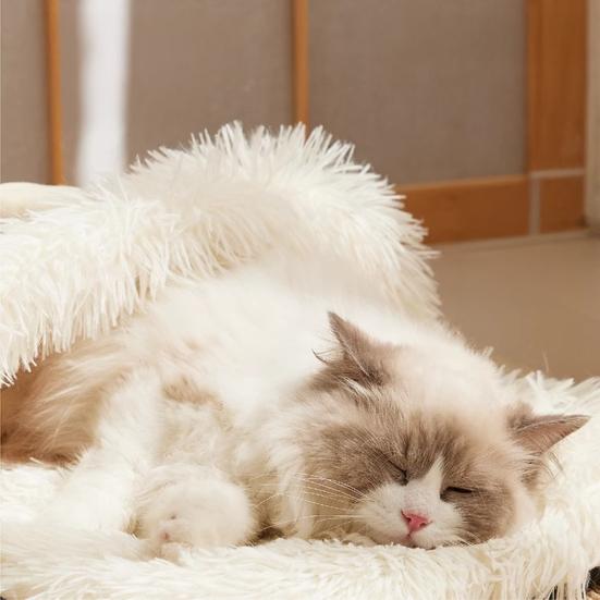 Kočičí spací pytel Zimní teplé pelíšek jeskyně pro mazlíčky Plyšem podšitá kočičí postel s králičími uši Protiskluzové dno pro vnitřní koťata štěňata