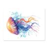 Sea World Bathroom Toilet Sticker Removable Self-adhesive Wall Waterproof PVC Living Room Jellyfish Art Toilet Lid Decoration Decal
