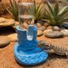 Anti-slip Base Reptiles Water Feeder Plastic Pet Drinking Bowl Turtle Food Bowl  Small Creatures