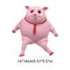Cute Squeeze Pink Pig Toy Stress Relief Toy Decompression Soft Sensory Slow Rebound Pink Animals Vent Toys Gifts for Girls Boys