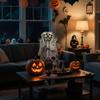 Halloween 5.5ft Skeleton Simulation Human Plastic Skeleton Haunted House Prop Skeleton Decoration