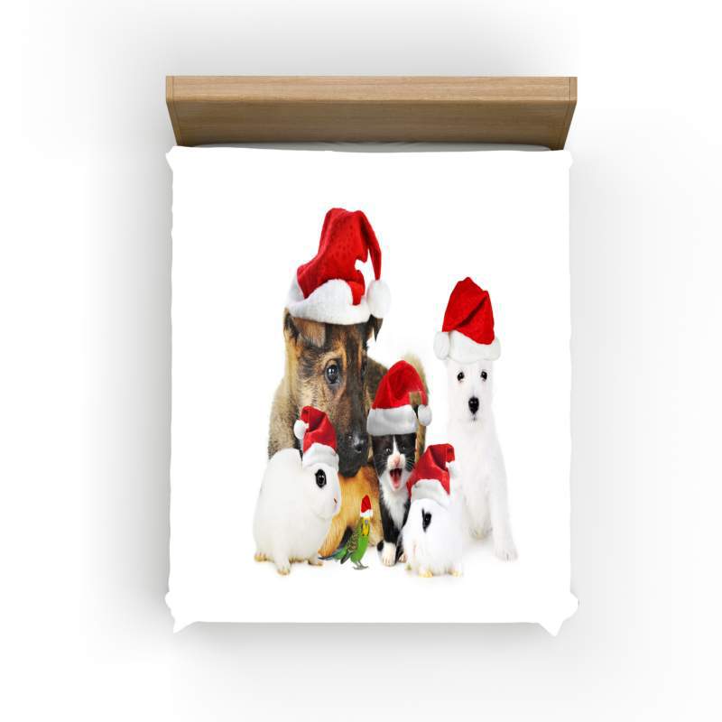 Christmas Digital Printing Quilt Set Three-Piece Christmas Cat