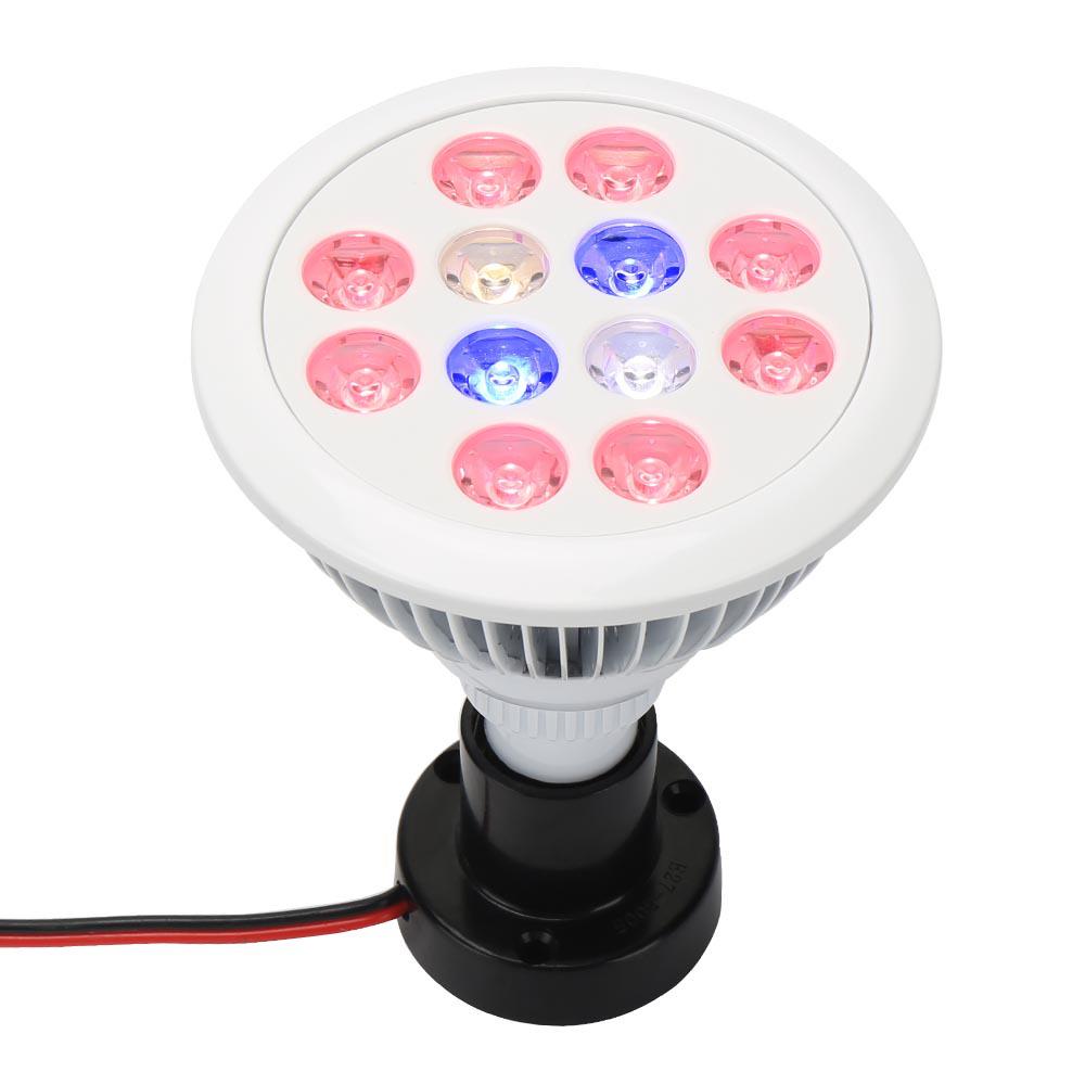 E27 36W LED Full Spectrum Grow Light for Indoor Plants and Succulents