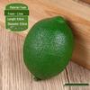 Foam Fruit Model Set: Educational Toy & Display with Plastic Apples, Bananas, Grapes for Kids