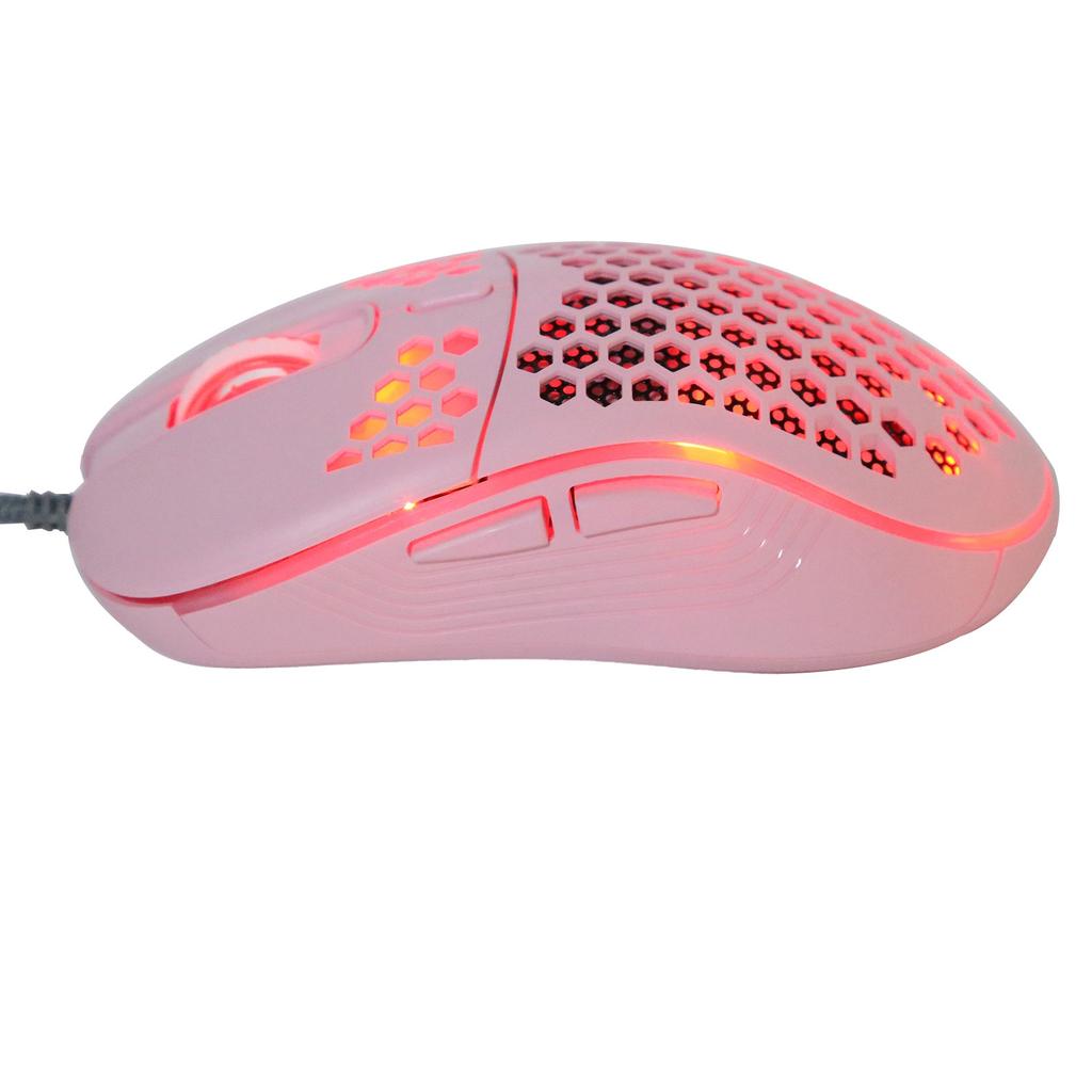 Wired Mouse 4‑Speed DPI Adjustable Hollow RGB Lighting Effect Gaming Laptop Accessories