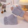 Gloves women's autumn and winter cute riding Korean version of trendy cartoon velvet thickened student male writing flip gloves keep warm