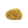 Gąbka do kąpieli - naturalna morska - rozmiar m 12-14 cm